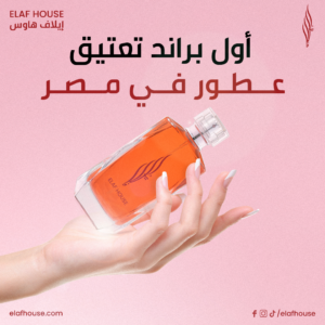 340123638_902373244367729_6714129734873447023_n