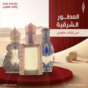 401486356_300111899509939_6453792735850376562_n